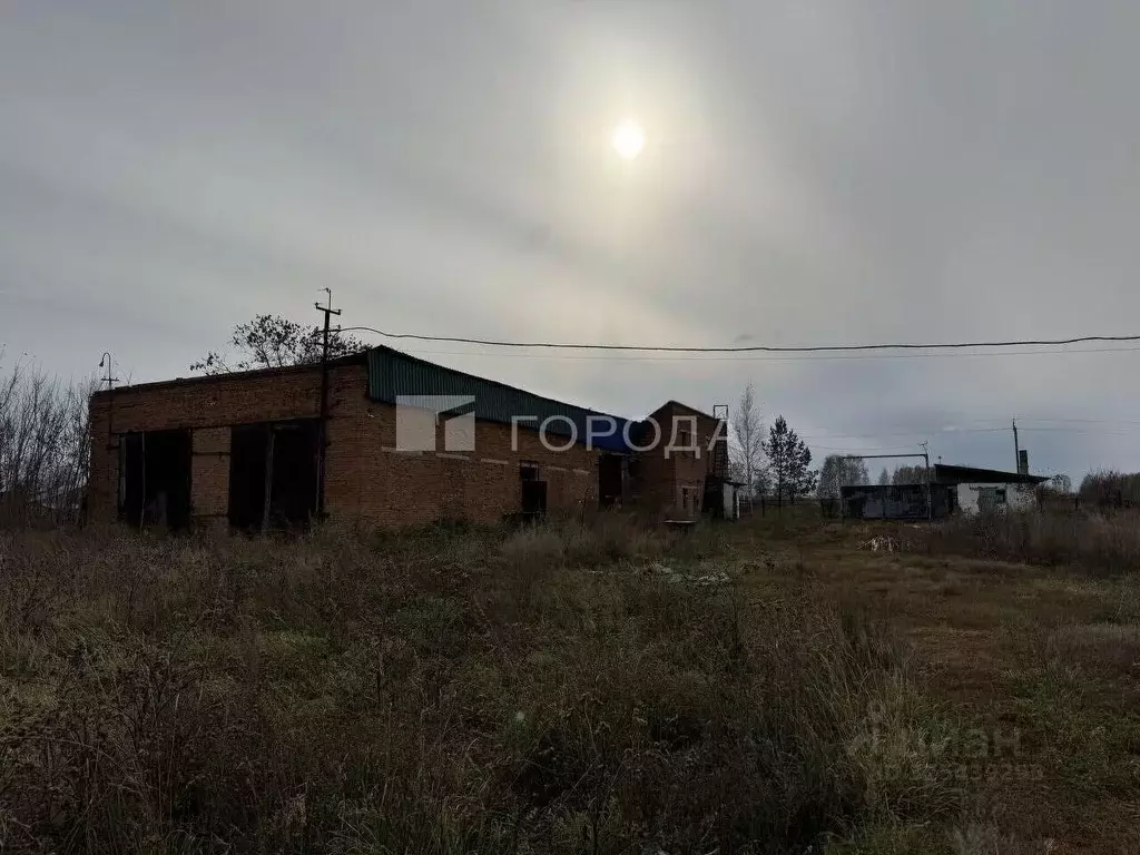 Производственное помещение в Новосибирская область, Мошковский район, ... - Фото 2