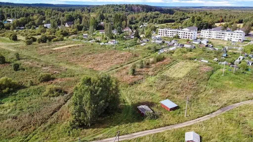 Участок в Ленинградская область, Выборгский район, Советское городское ... - Фото 1