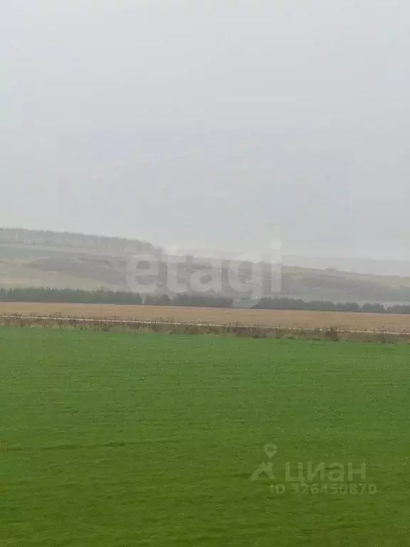 Участок в Нижегородская область, Дальнеконстантиновский муниципальный ... - Фото 2
