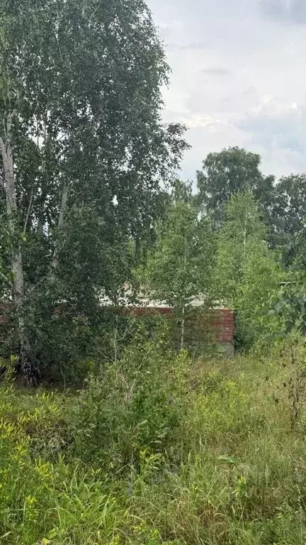 Участок в Челябинская область, Сосновский муниципальный округ, с. ... - Фото 2