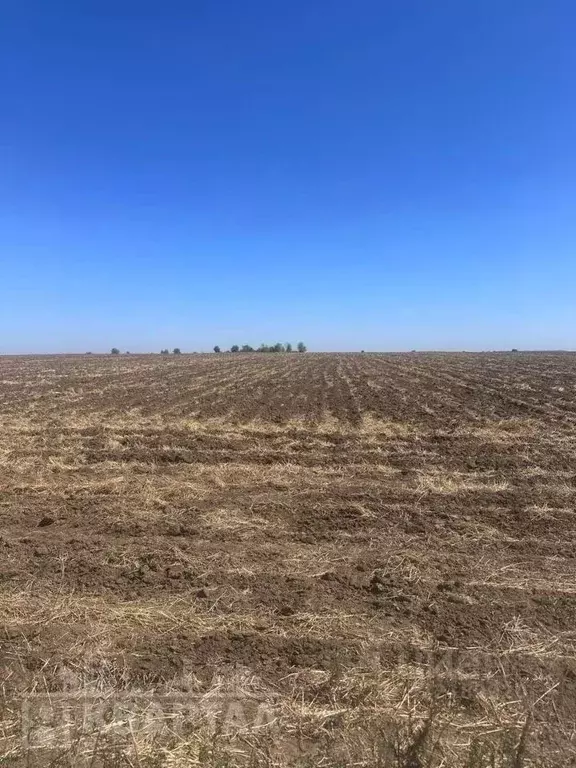 Участок в Краснодарский край, Анапа муниципальный округ, с. Витязево ... - Фото 1