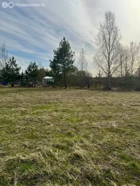 Участок в Московская область, муниципальный округ Егорьевск, деревня ... - Фото 1