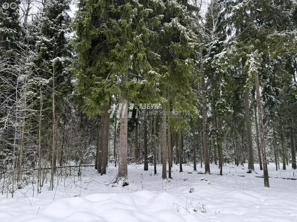 Участок в Московская область, городской округ Пушкинский, деревня ... - Фото 0