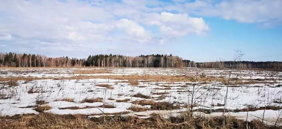 Участок в Московская область, Волоколамский муниципальный округ, ... - Фото 2