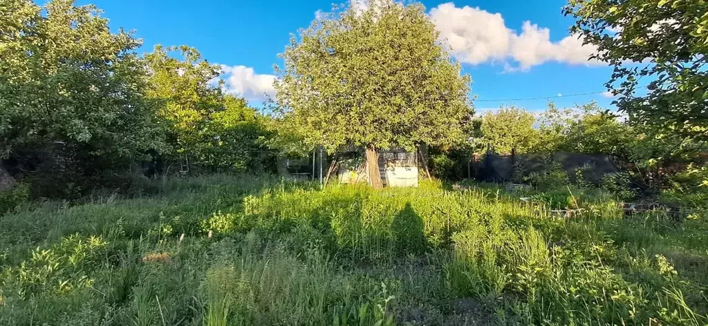 Дом в Саратовская область, Саратов Тюльпан СНТ,  (12 м) - Фото 1