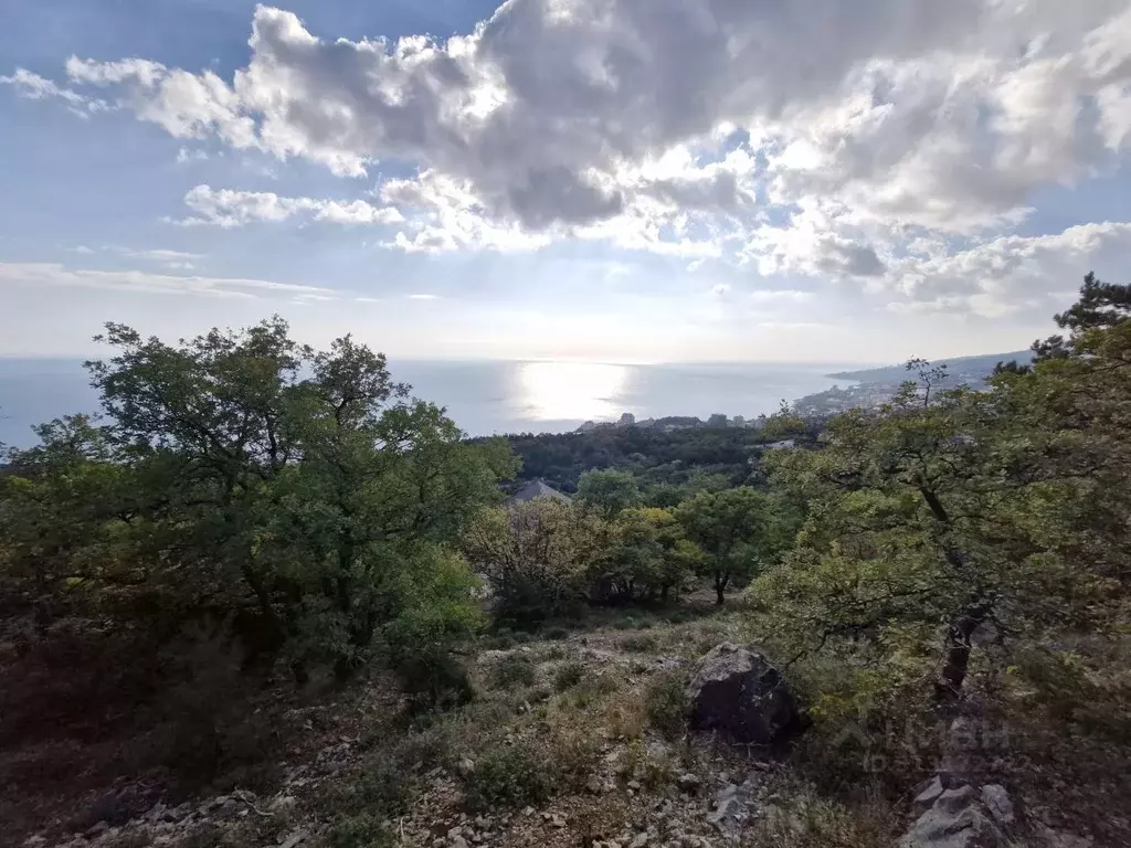 Участок в Крым, Ялта муниципальный округ, Гаспра пгт  (15.0 сот.) - Фото 1