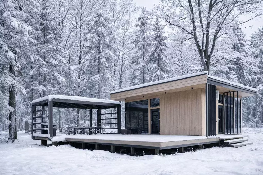 Дом в Московская область, Пушкинский городской округ, Озеро Белых ... - Фото 1