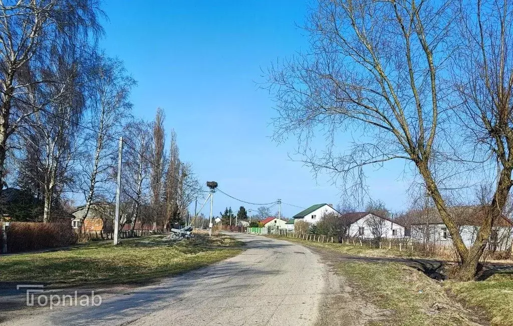 Участок в Калининградская область, Зеленоградский муниципальный округ, ... - Фото 1