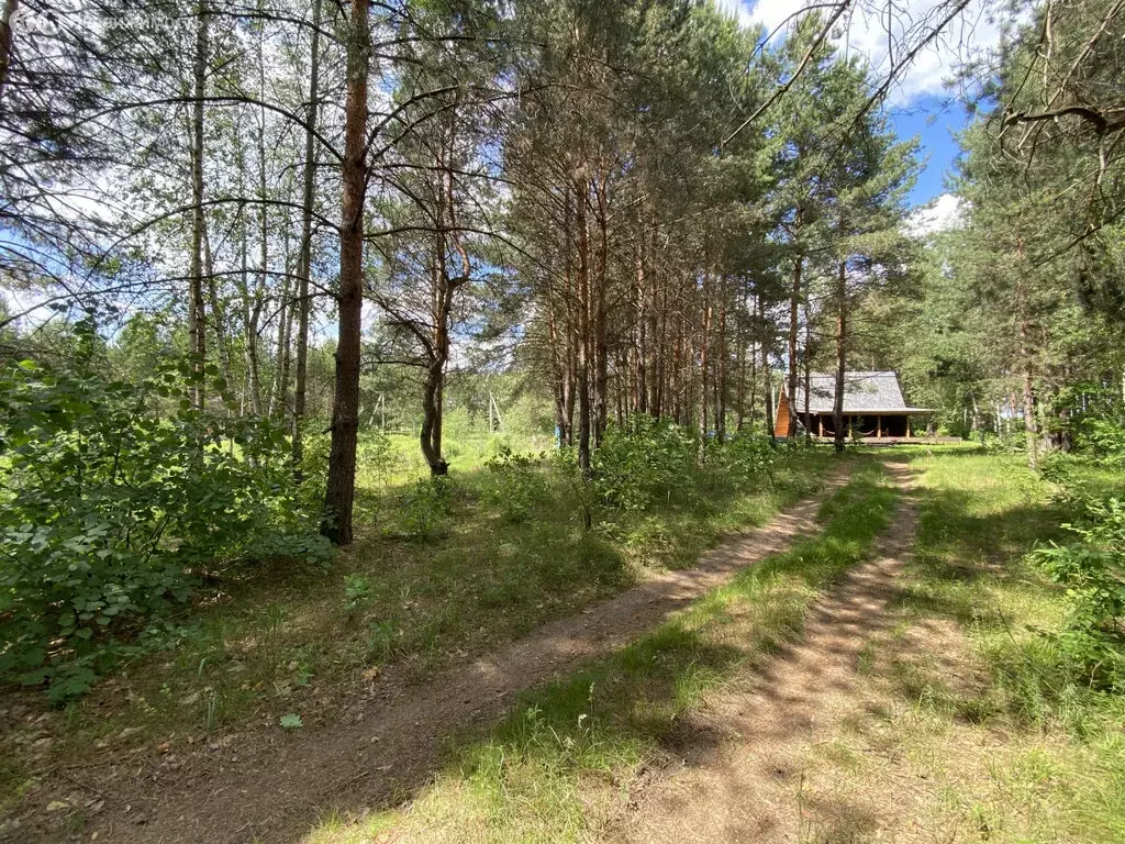 Участок в Бессоновский район, посёлок Подлесный, коттеджный посёлок ... - Фото 0