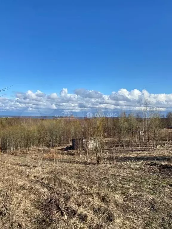 Участок 30 сот. (ИЖС) - Фото 0