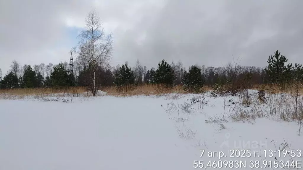 Участок в Московская область, Орехово-Зуевский городской округ, д. ... - Фото 1