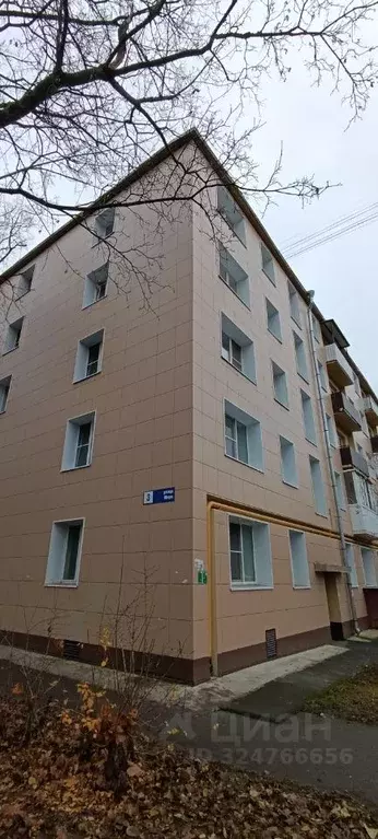 3-к кв. Ленинградская область, Кириши ул. Мира, 3 (42.6 м) - Фото 1