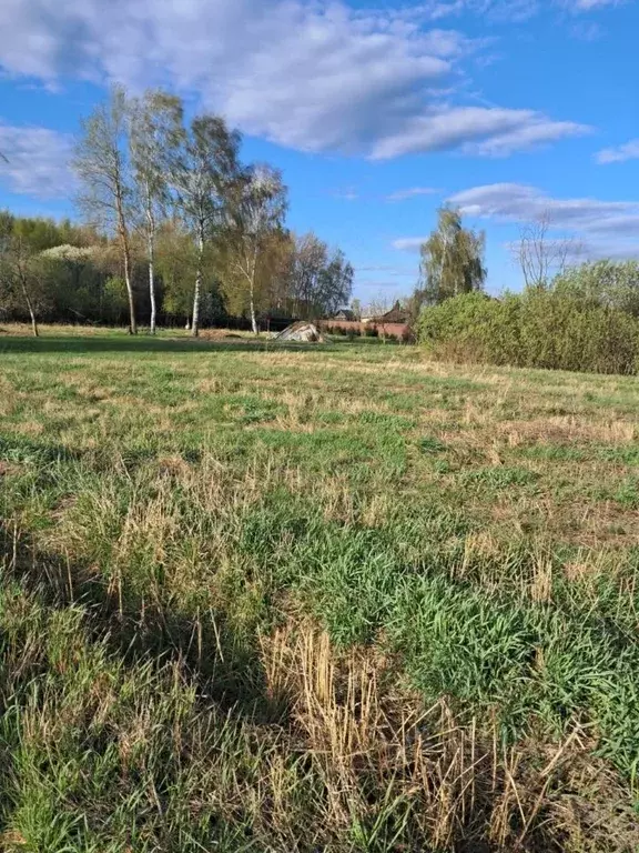 Участок в Московская область, Орехово-Зуевский городской округ, д. ... - Фото 0