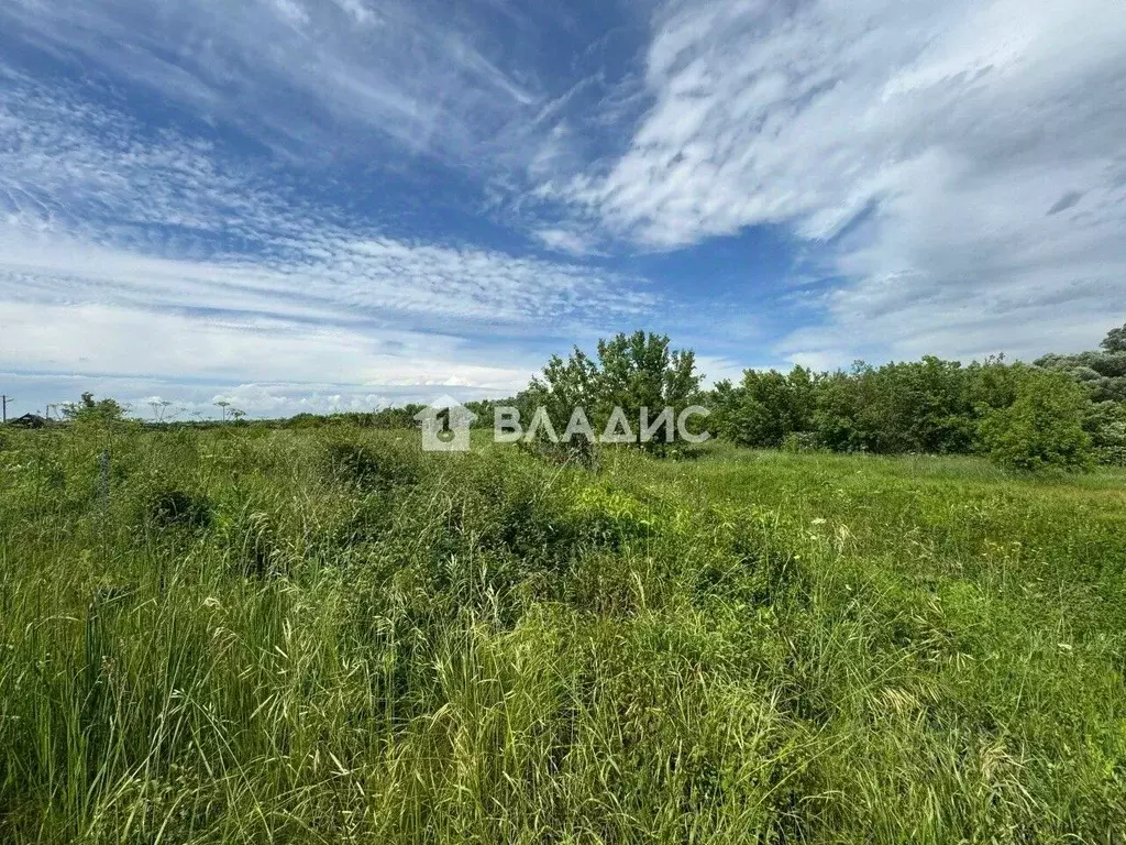 Участок в Пензенская область, с. Бессоновка ул. Карьер, 6 (30.0 сот.) - Фото 1