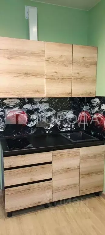 Студия Новосибирская область, Новосибирск ул. Фрунзе, 220 (34.0 м) - Фото 2