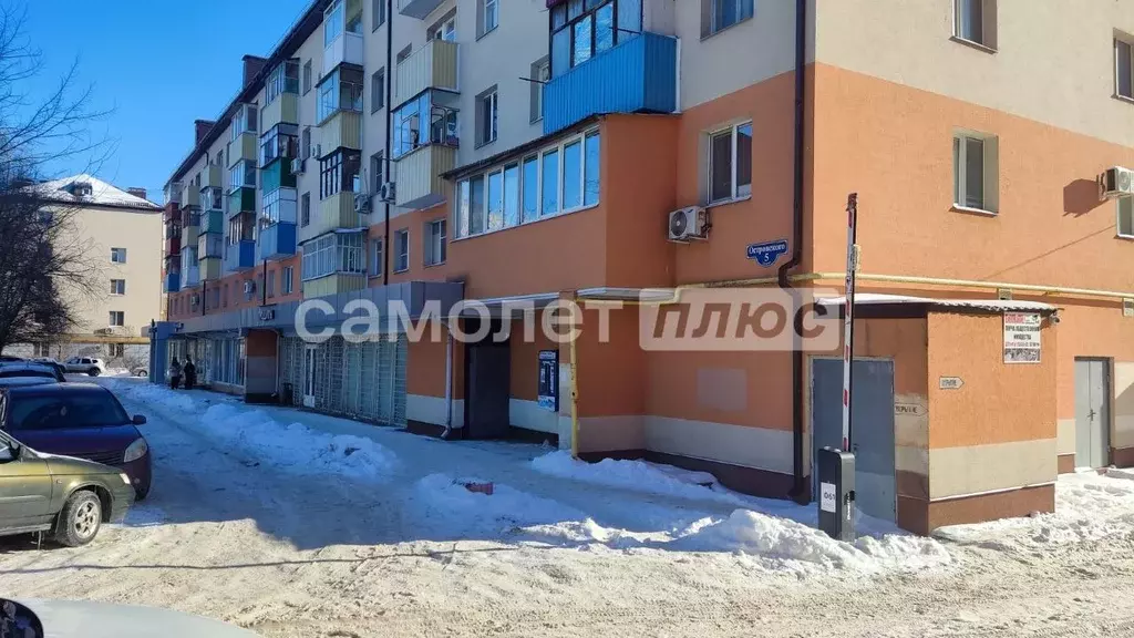 Торговая площадь в Белгородская область, Белгород ул. Николая ... - Фото 1