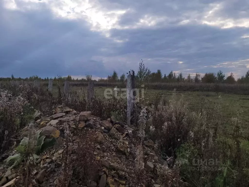 Участок в Кемеровская область, Кемеровский район, д. Осиновка  (40.0 ... - Фото 1