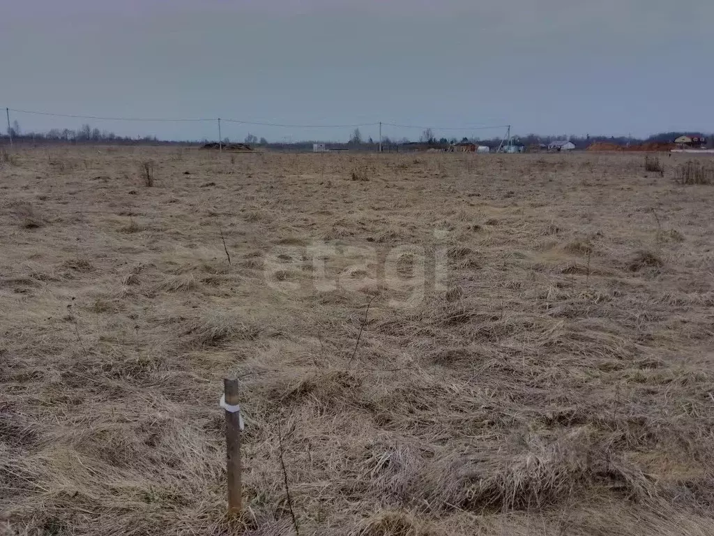 Участок в Псковская область, Псковский муниципальный округ, д. ... - Фото 1