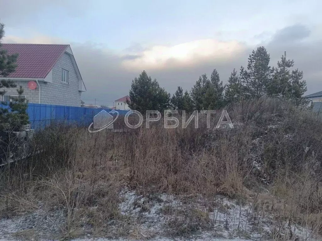 Участок в Тюменская область, Тюменский муниципальный округ, с. Успенка ... - Фото 2