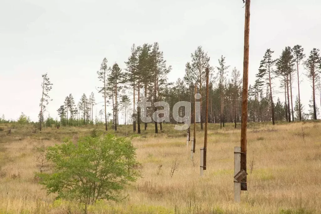 Участок в Бурятия, Иволгинский район, Сотниковское с/пос, с. ... - Фото 2