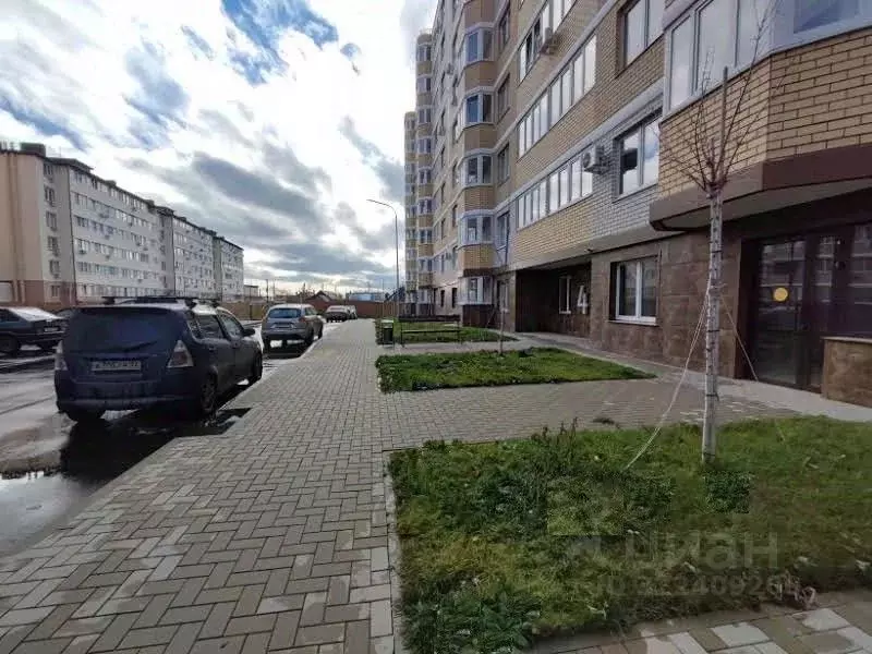 Помещение свободного назначения в Краснодарский край, Краснодар ул. ... - Фото 2