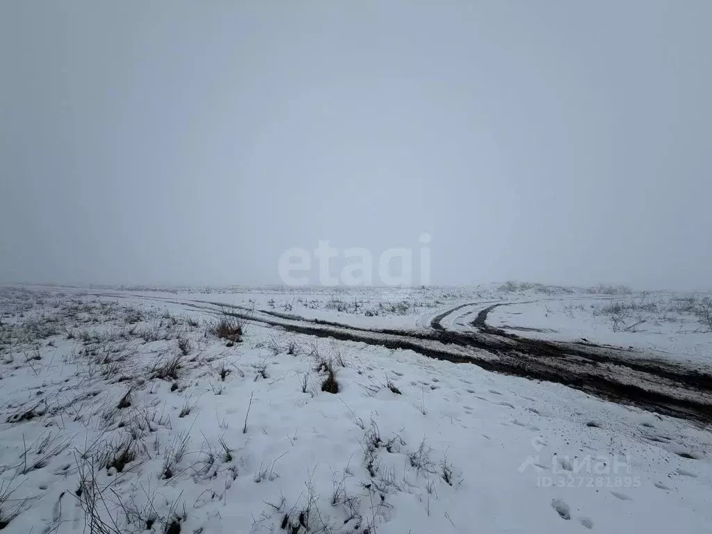 Участок в Крым, Симферопольский район, с. Трудовое  (65.0 сот.) - Фото 1