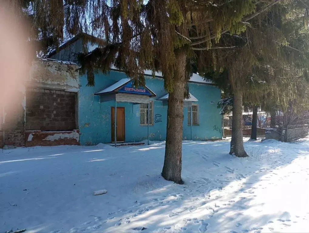 Торговая площадь в Пензенская область, Сурск Городищенский район, ... - Фото 1