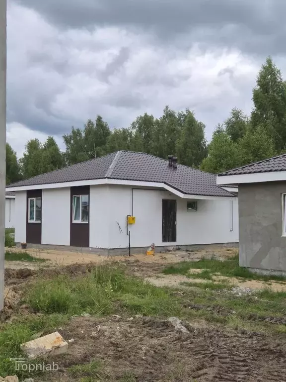 Дом в Нижегородская область, Богородский муниципальный округ, д. Пруды ... - Фото 1