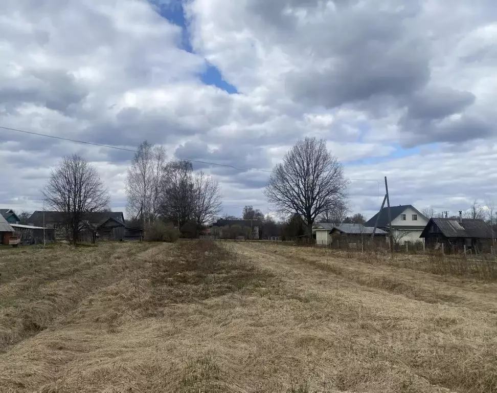 Участок в Новгородская область, Старорусский муниципальный округ, д. ... - Фото 1