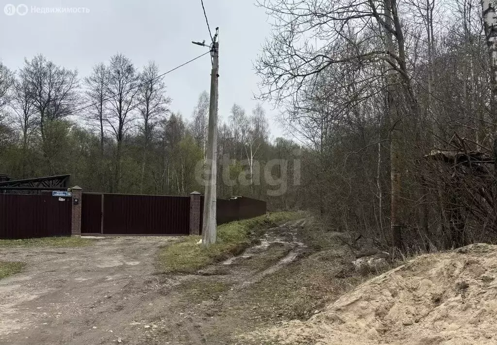 Участок в Калужская область, Бабынинский муниципальный округ, сельское ... - Фото 2