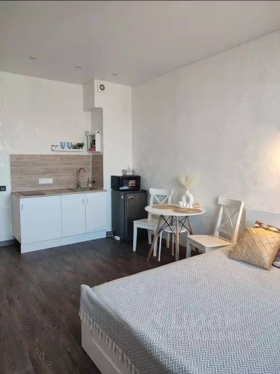 Студия Псковская область, Псков ул. Алексея Алехина, 14 (27.0 м) - Фото 2