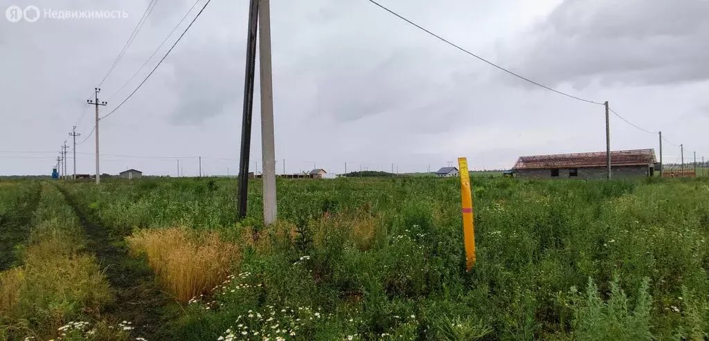 Участок в деревня Кабаково, Виноградная улица (14 м) - Фото 0