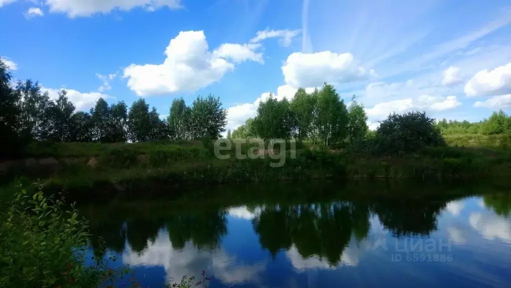 Участок в Тульская область, Дубенский район, Воскресенское ... - Фото 0