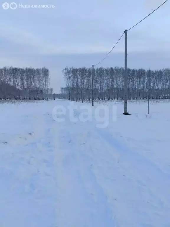 Участок в Омский район, село Усть-Заостровка (10 м) - Фото 0