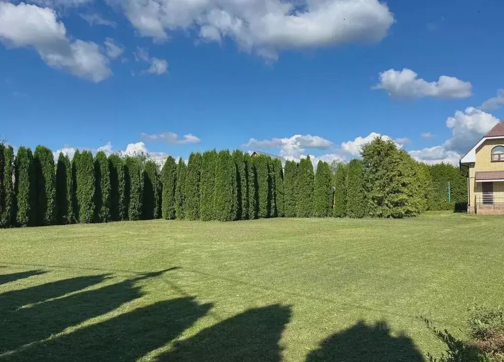 Участок в Московская область, Пушкинский городской округ, Ашукино пгт ... - Фото 1