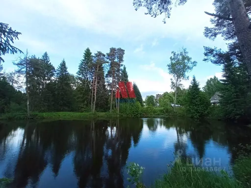 Участок в Ярославская область, Рыбинский муниципальный округ, с. ... - Фото 1