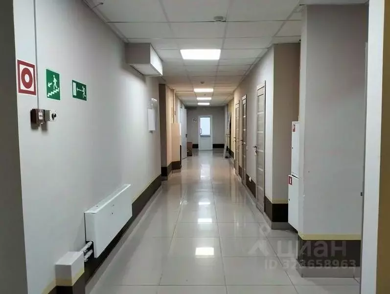 Офис в Нижегородская область, Нижний Новгород Ковровская ул., 21А (258 ... - Фото 2