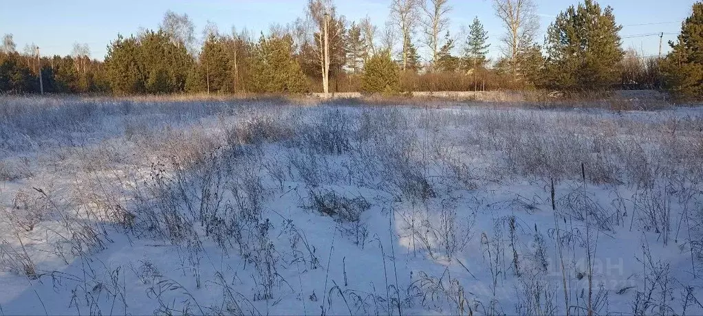 Участок в Московская область, Павлово-Посадский городской округ, д. ... - Фото 0