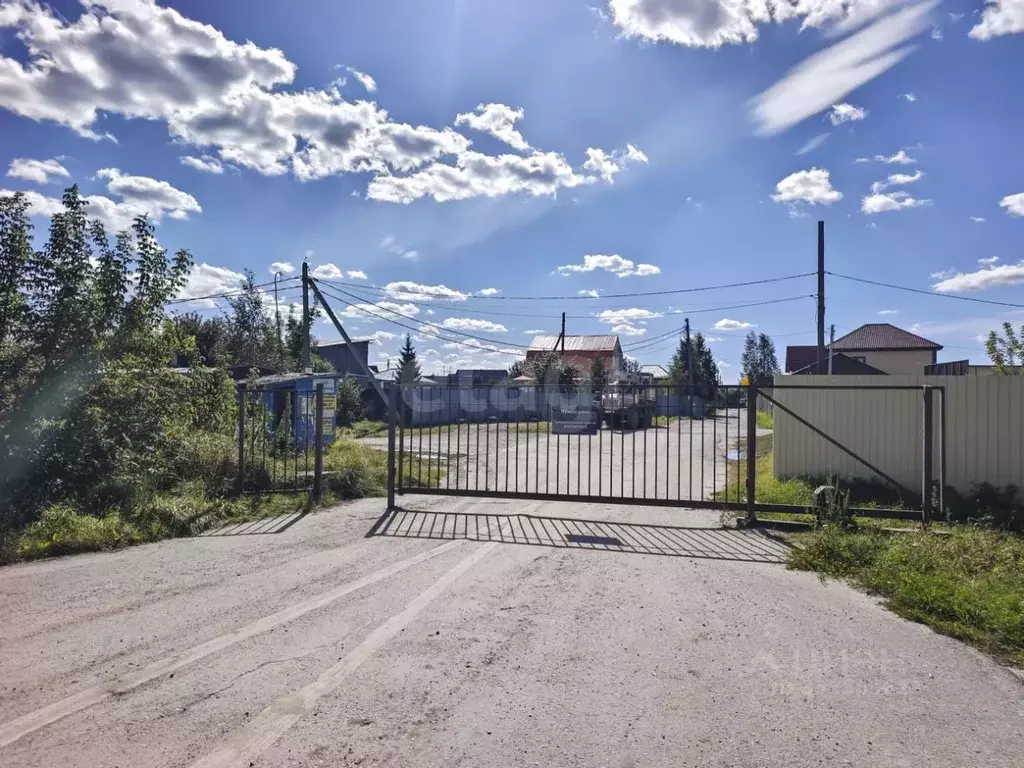 Участок в Тюменская область, Тюмень СОСН Приозерное тер., ул. ... - Фото 1