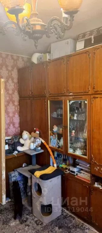 3-к кв. Воронежская область, Воронеж ул. Димитрова, 155 (60.0 м) - Фото 1