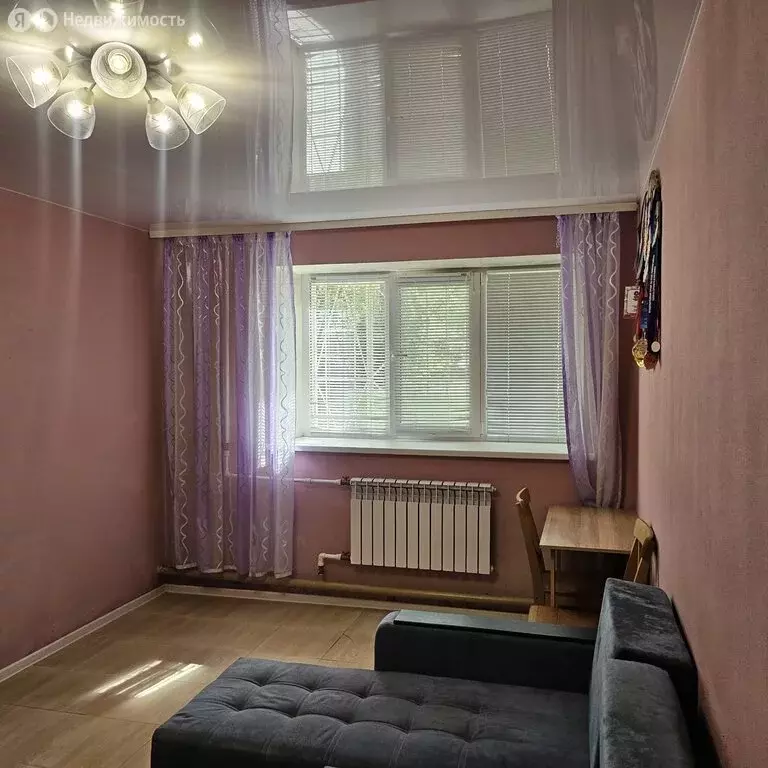 1-комнатная квартира: Нижний Новгород, Берёзовская улица, 106 (27 м) - Фото 1