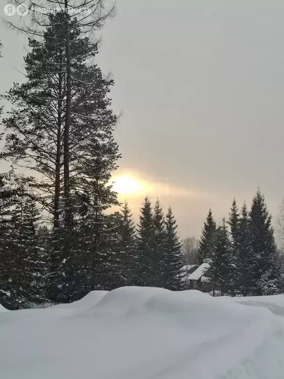 Участок в Свердловская область, муниципальный округ Нижний Тагил, село ... - Фото 2