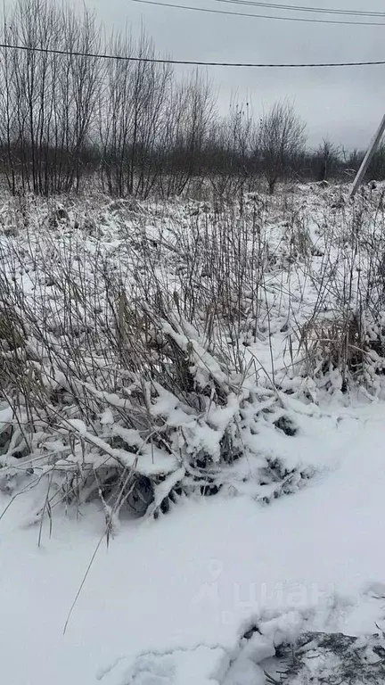 Участок в Архангельская область, Архангельск Малое Никольское ТСН, 218 ... - Фото 1