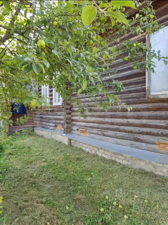 Дом в Ивановская область, пос. Пестяки ул. Рабочая, 7 (44 м) - Фото 2