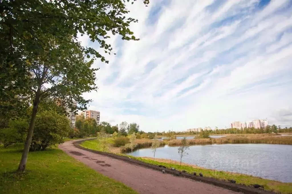 2-к кв. Санкт-Петербург пос. Металлострой, Центральная ул., 15 (43.4 ... - Фото 1