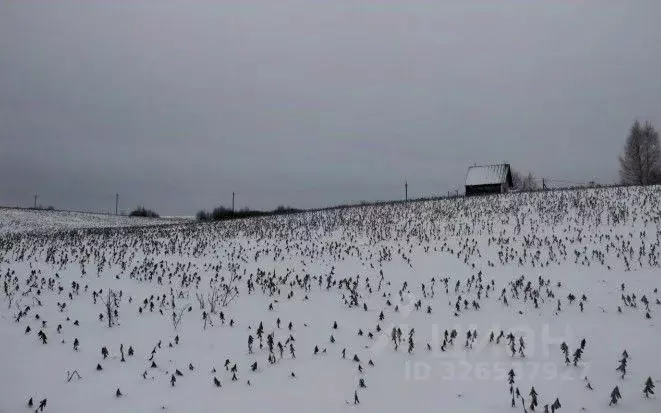 Участок в Московская область, Шаховская муниципальный округ, с. Середа ... - Фото 1