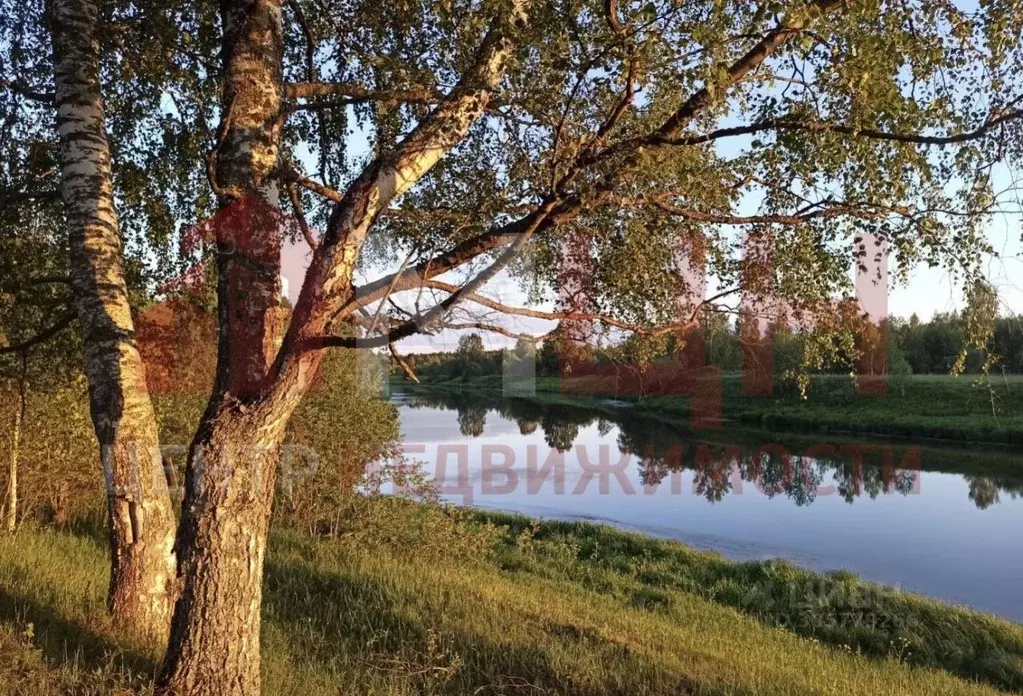 участок в тверская область, калининский муниципальный округ, д. . - Фото 0