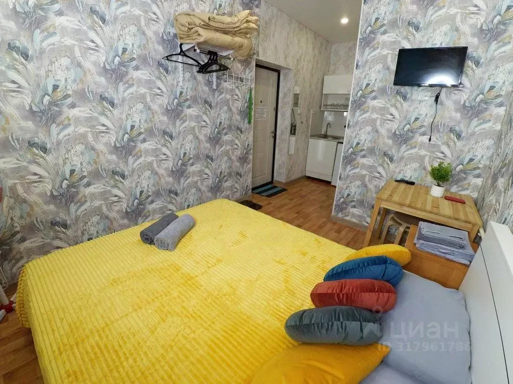 1-к кв. Татарстан, Казань Ипподромная ул., 29 (19.0 м) - Фото 1