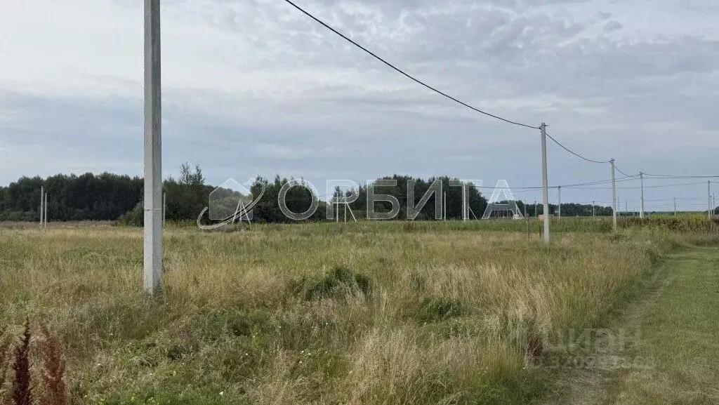 Участок в Тюменская область, Нижнетавдинский район, с. Черепаново ул. ... - Фото 2