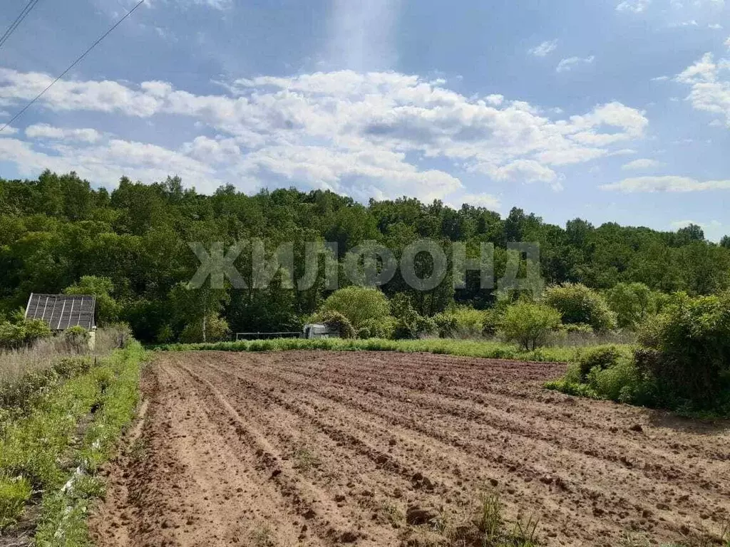 Участок в Амурская область, Благовещенск Новотроицкое ш. (10.0 сот.) - Фото 0